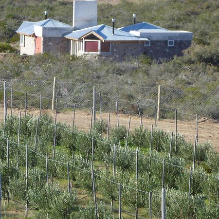 La Calandria Casa De Campo Villa Puerto Madryn Dış mekan fotoğraf