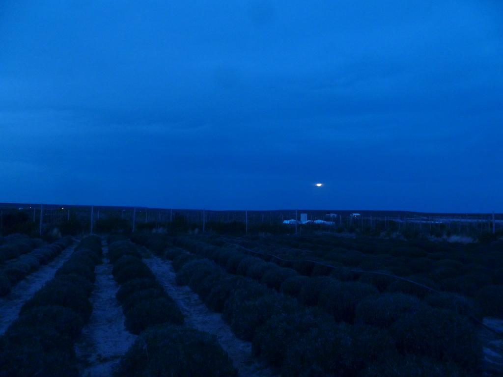 La Calandria Casa De Campo Villa Puerto Madryn Dış mekan fotoğraf