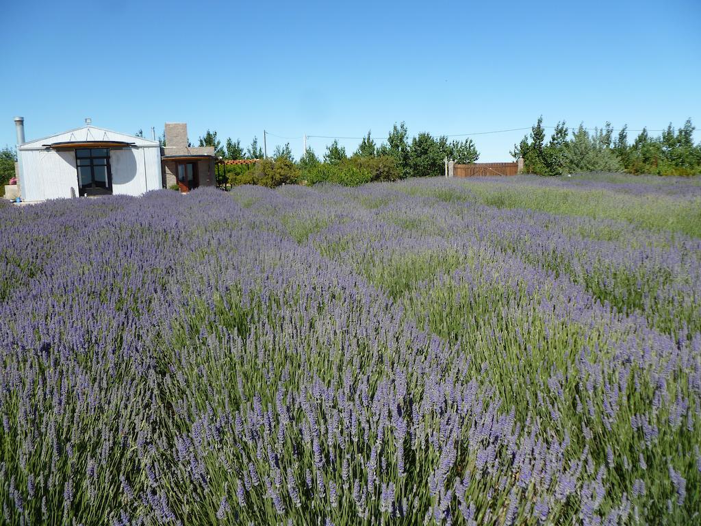 La Calandria Casa De Campo Villa Puerto Madryn Dış mekan fotoğraf