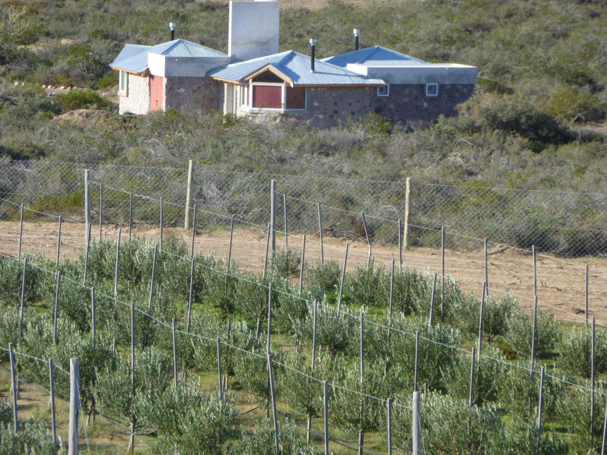 La Calandria Casa De Campo Villa Puerto Madryn Dış mekan fotoğraf