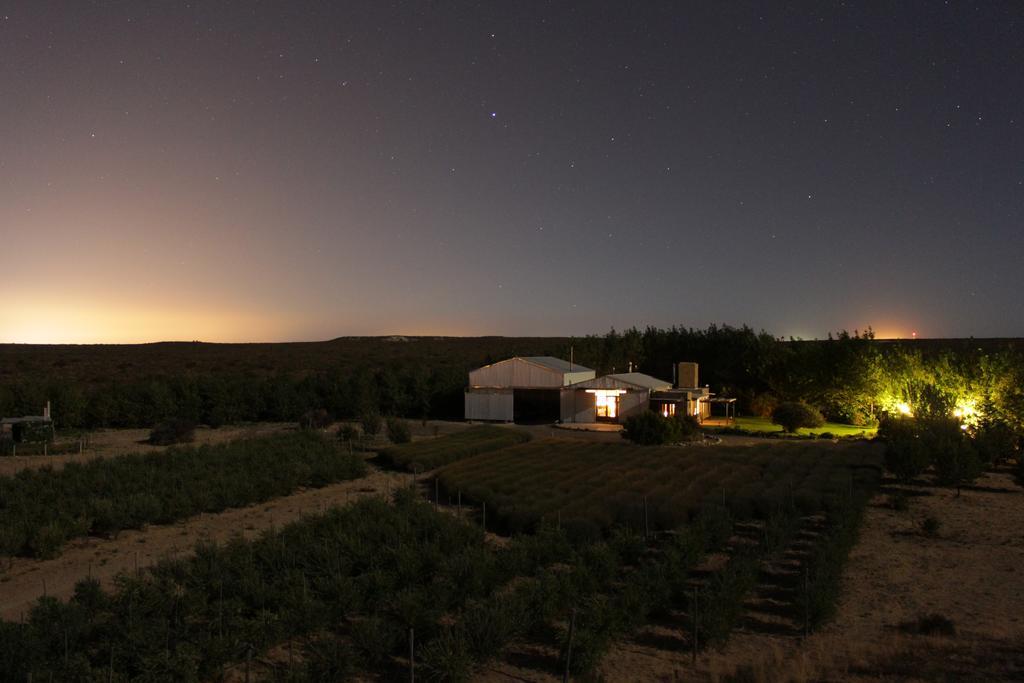 La Calandria Casa De Campo Villa Puerto Madryn Dış mekan fotoğraf