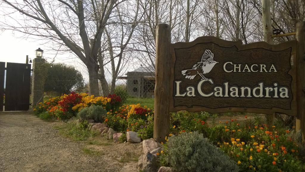 La Calandria Casa De Campo Villa Puerto Madryn Dış mekan fotoğraf