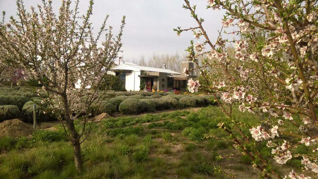 La Calandria Casa De Campo Villa Puerto Madryn Dış mekan fotoğraf
