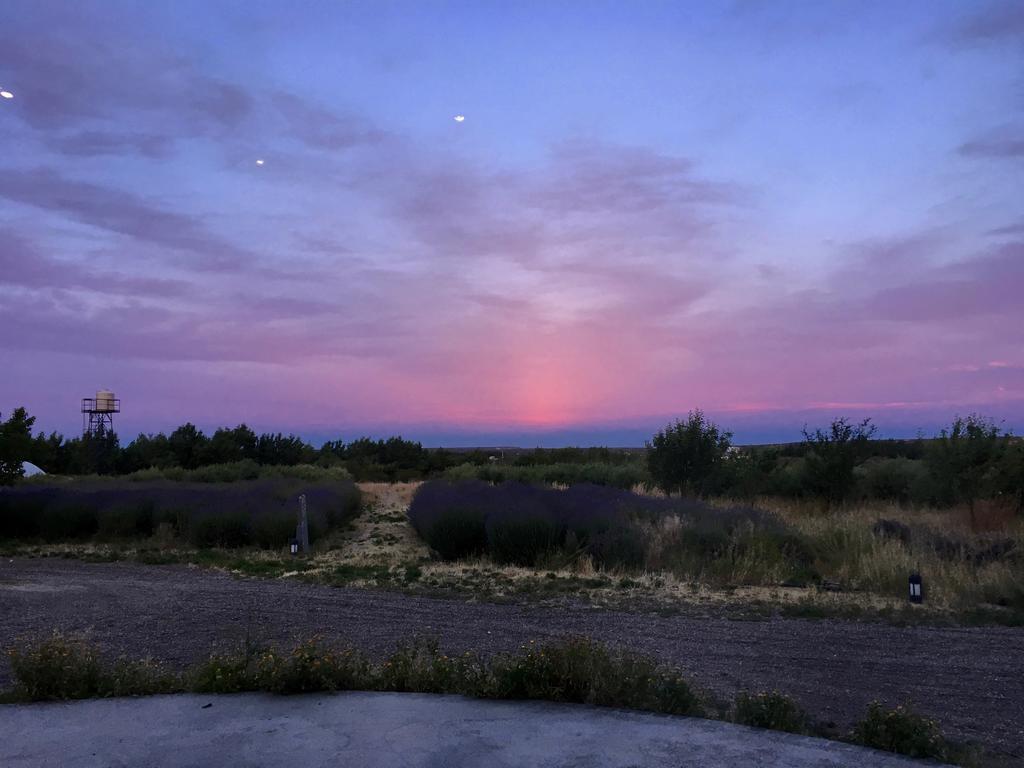 La Calandria Casa De Campo Villa Puerto Madryn Dış mekan fotoğraf