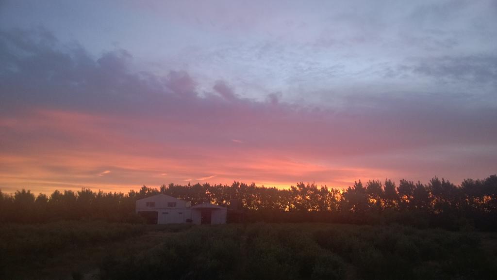 La Calandria Casa De Campo Villa Puerto Madryn Dış mekan fotoğraf